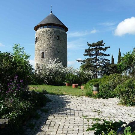 Au Moulin Geant Bed & Breakfast Rochefort-sur-Loire ภายนอก รูปภาพ
