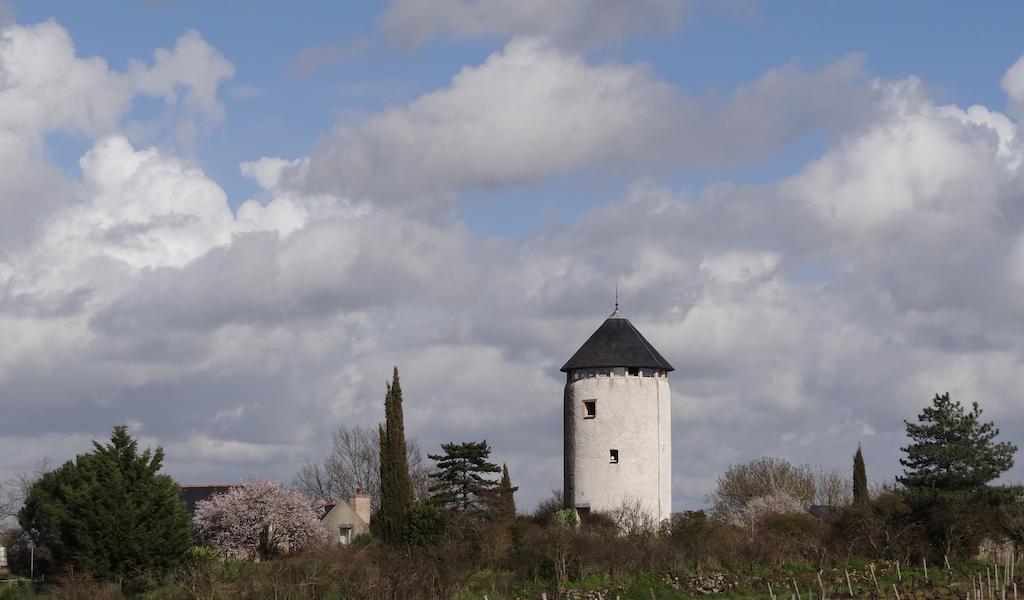 Au Moulin Geant Bed & Breakfast Rochefort-sur-Loire ภายนอก รูปภาพ