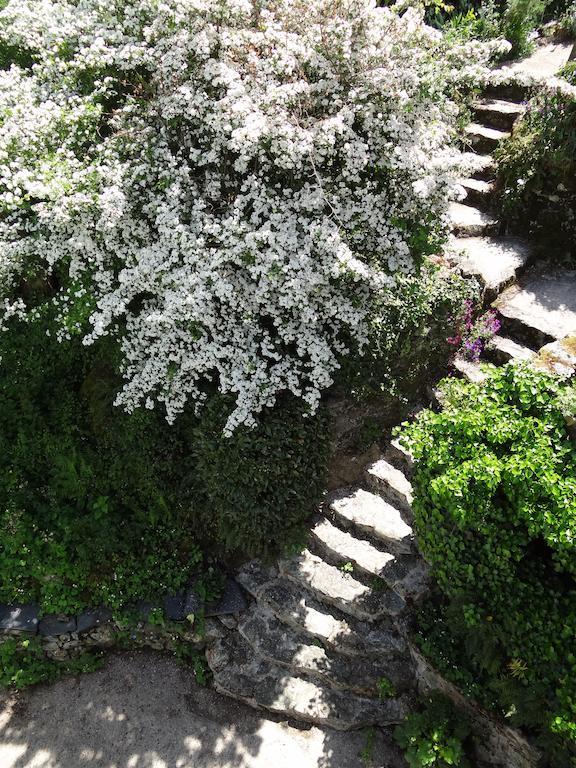 Au Moulin Geant Bed & Breakfast Rochefort-sur-Loire ภายนอก รูปภาพ