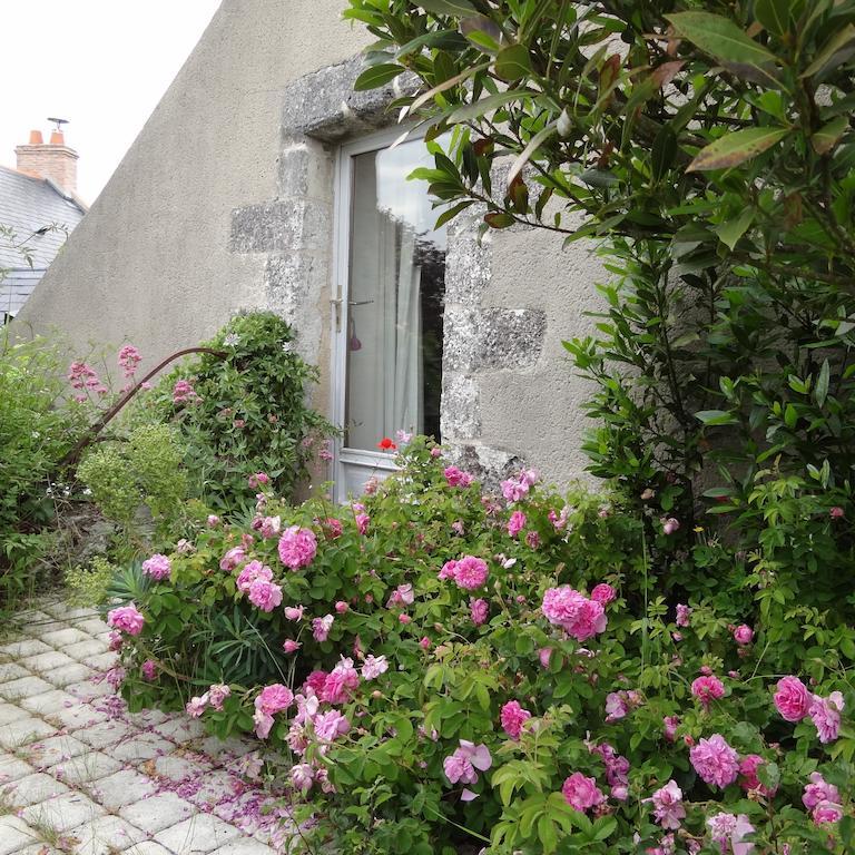 Au Moulin Geant Bed & Breakfast Rochefort-sur-Loire ห้อง รูปภาพ