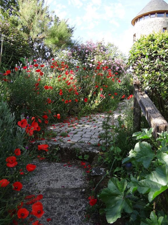 Au Moulin Geant Bed & Breakfast Rochefort-sur-Loire ภายนอก รูปภาพ