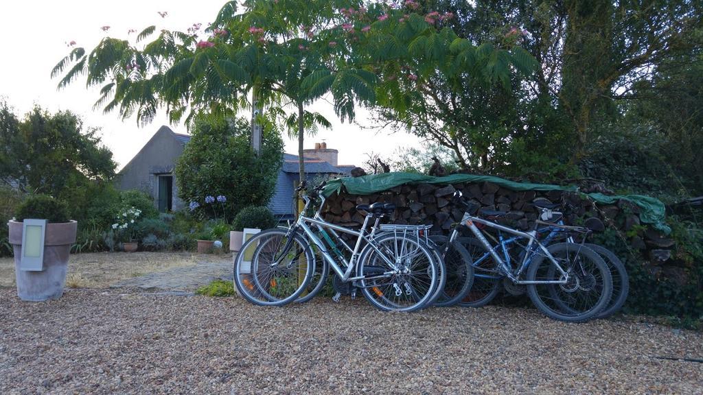 Au Moulin Geant Bed & Breakfast Rochefort-sur-Loire ภายนอก รูปภาพ